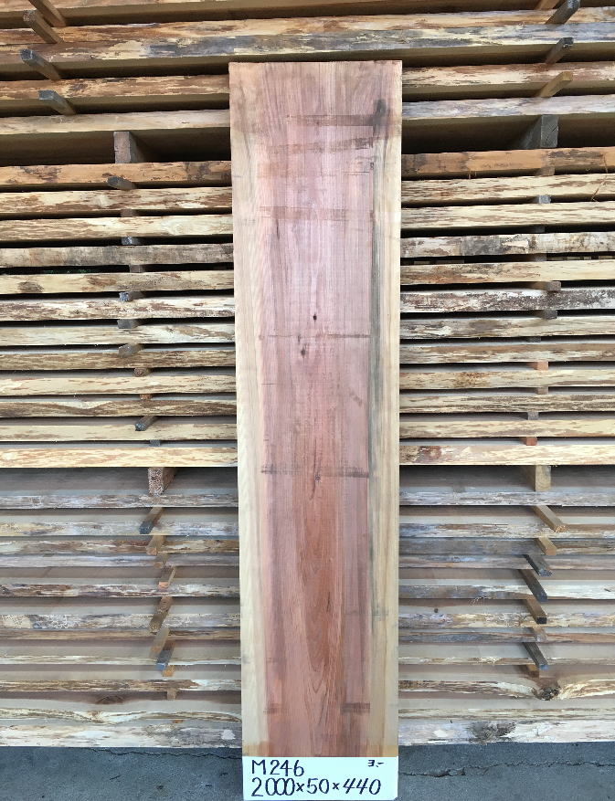 M-246 小節 2000×50×440
