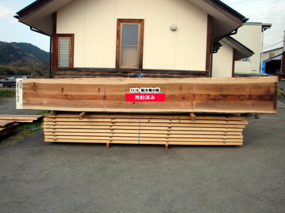 M-284 特等 5000×65×570