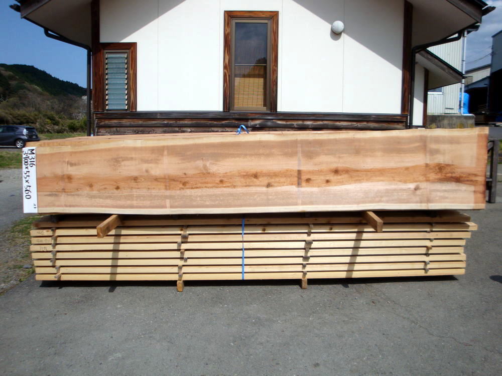 M-316 生節 3900×55×560