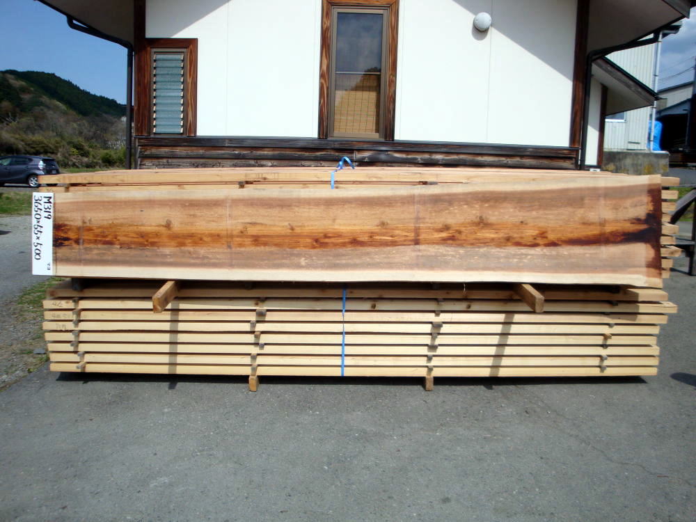 M-319 生節 3650×55×500