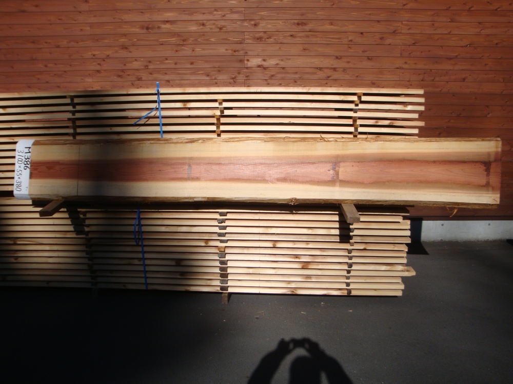 M-386 無節 3100×55×380