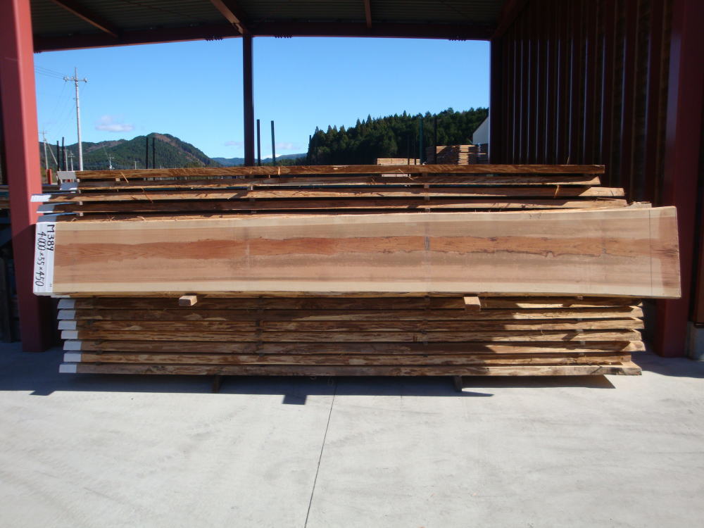 M-389 無節 4000×55×450