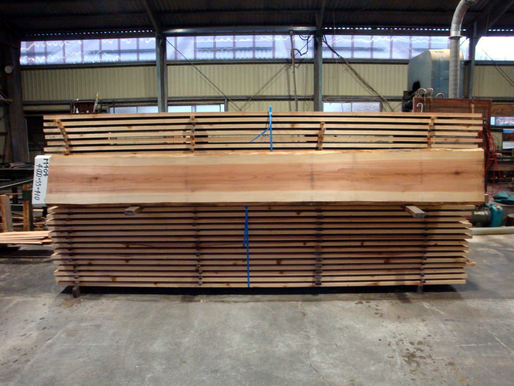 M-404 小節 4000×55×410