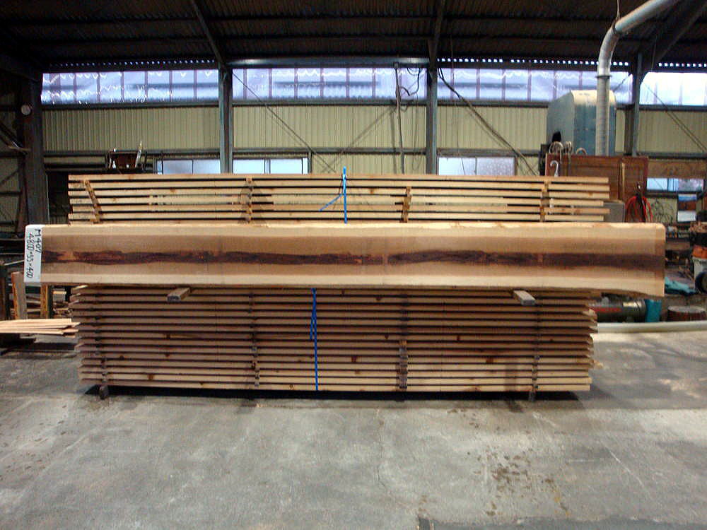 M-407 無節 4800×55×400