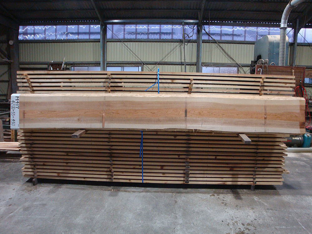 M-417 上小節 4200×55×450