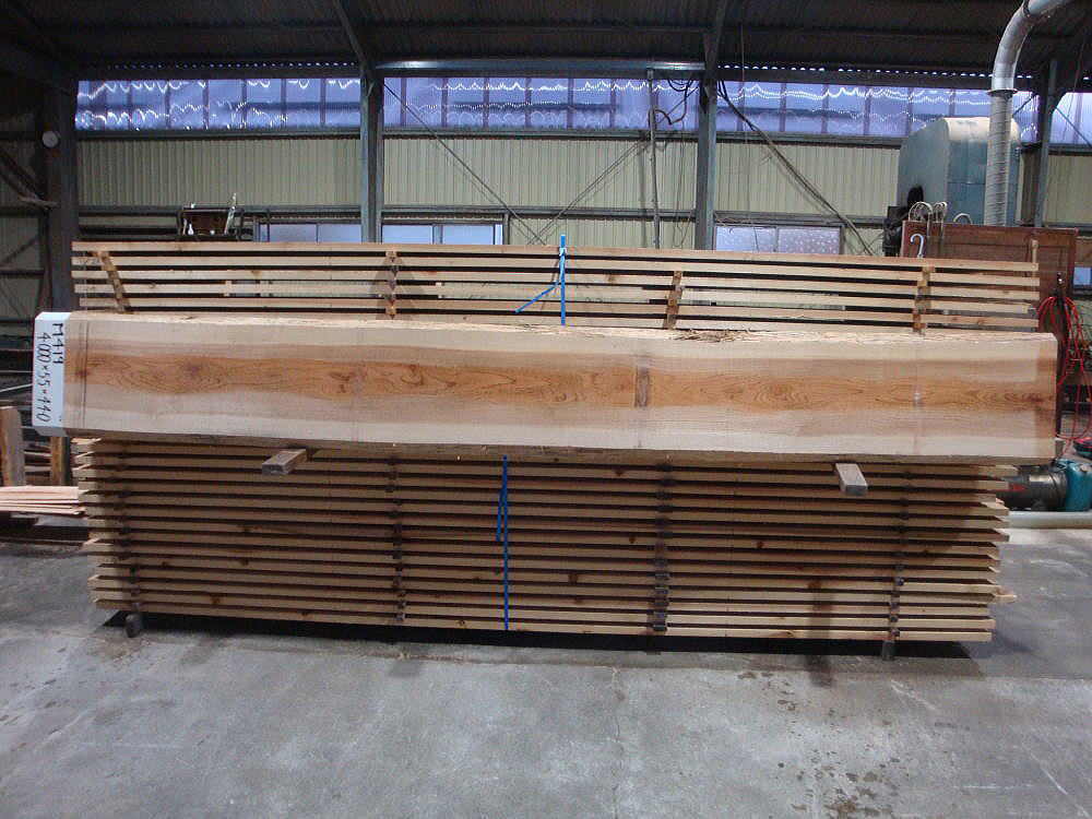 M-419 上小節 4000×55×440