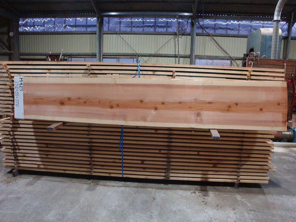 M-425 生節 3700×55×570