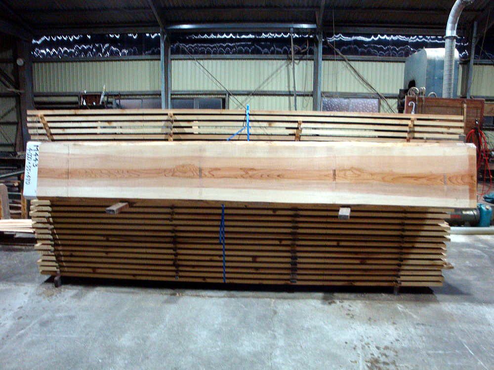 M-443 無節 4000×55×470