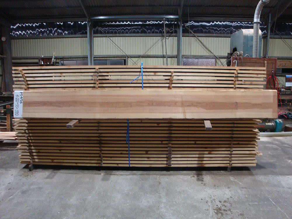 M-456 上小節 4000×55×390