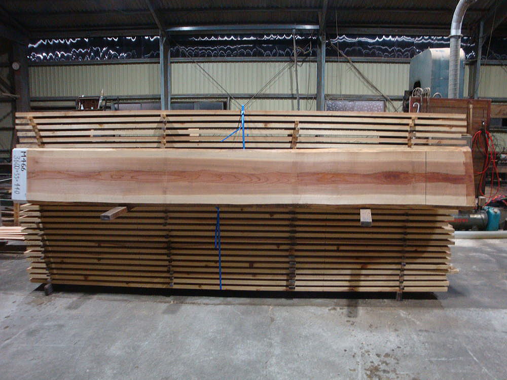 M-466 上小節 3600×55×440