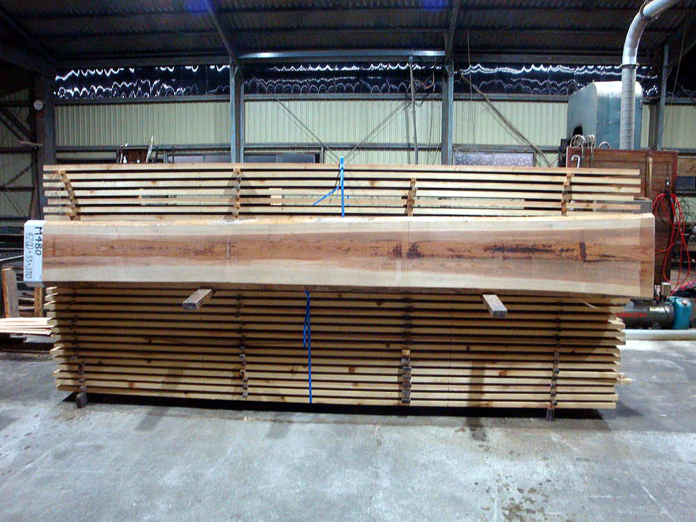 M-480 無節 4200×55×370