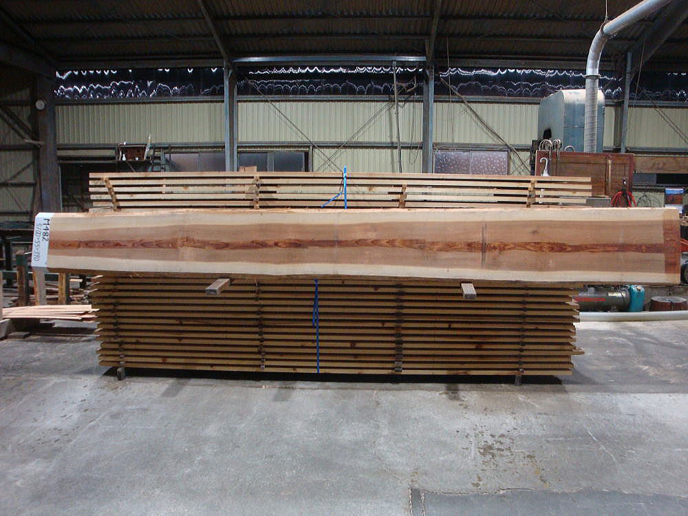 M-482 上小節 5100×55×390