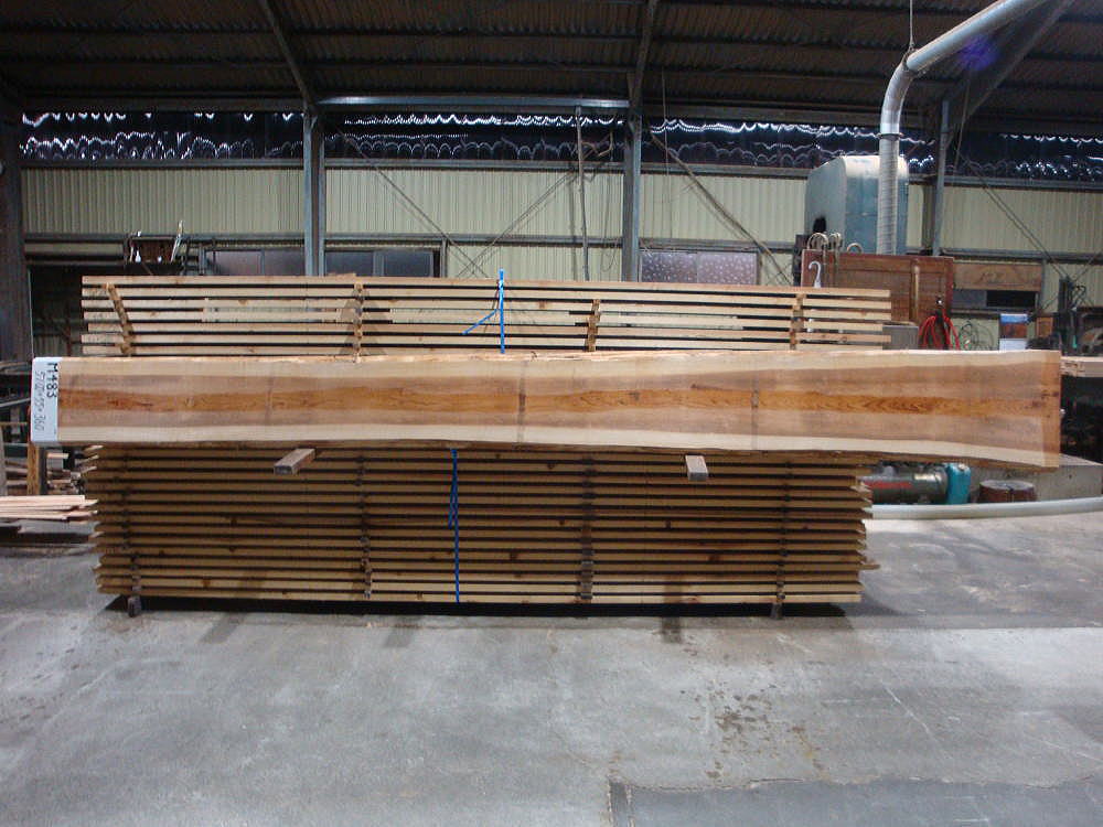 M-483 無節 5100×55×360