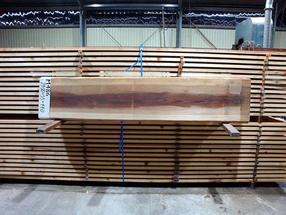 M-486 無節 2400×55×440