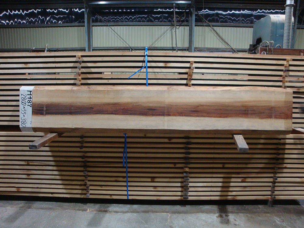 M-487 無節 2800×55×380