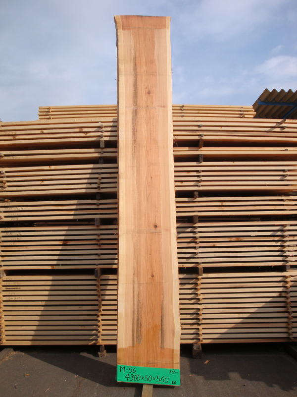 M-56 4300×50×560